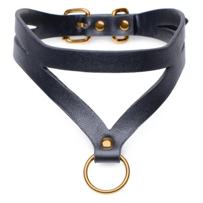 Black And Gold Collar With Leash Kit
