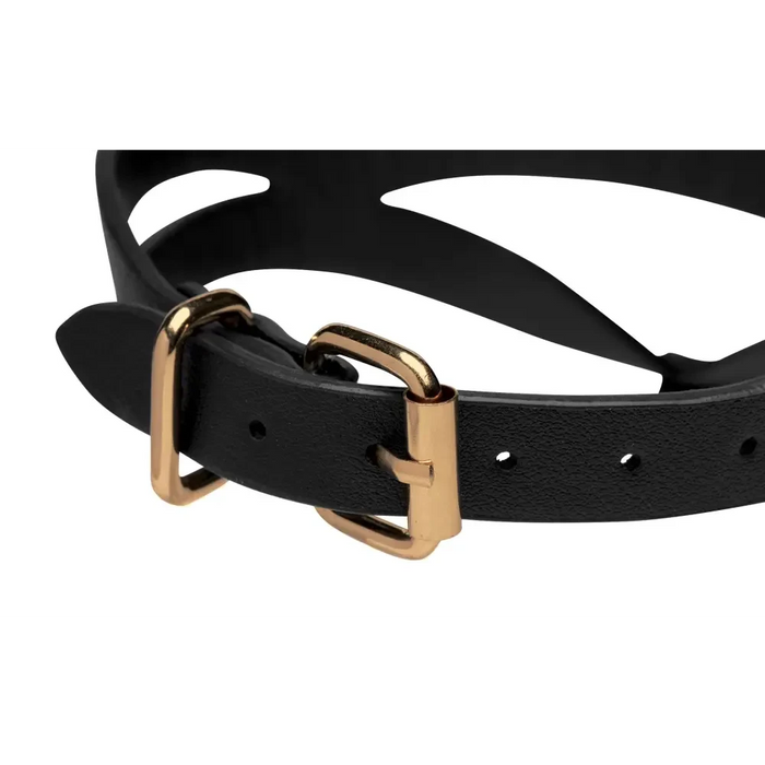 Black And Gold Collar With Leash Kit