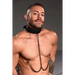 Collared Temptress Collar With Nipple Clamps