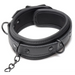 Collared Temptress Collar With Nipple Clamps