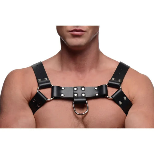 English Bull Dog Harness With Cock Strap