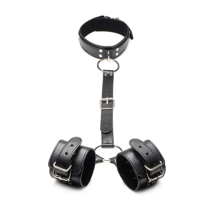 Neck To Wrist Restraints