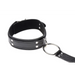 Neck To Wrist Restraints