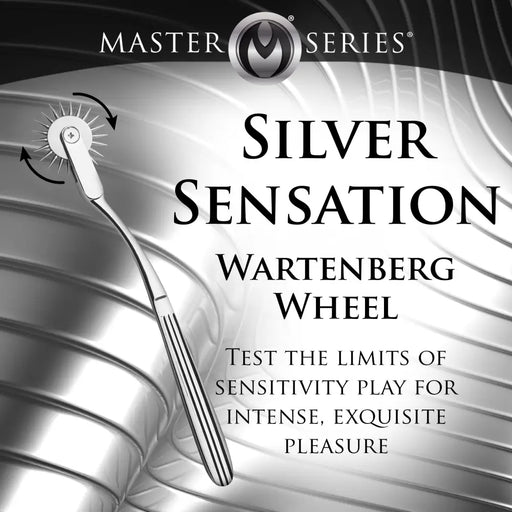 Silver Sensation Wartenberg Wheel