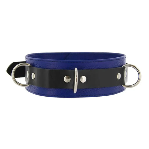 Strict Leather Deluxe Locking Collar - And Black Blue