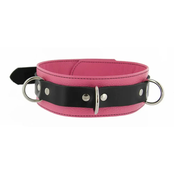 Strict Leather Deluxe Locking Collar - And Black Pink