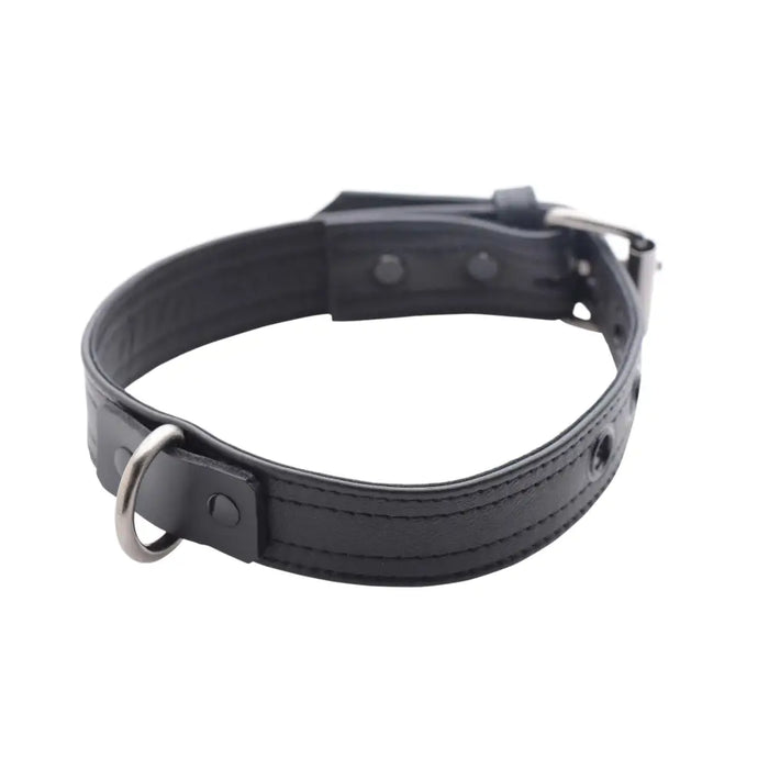 Strict Leather Luxury Locking Collar