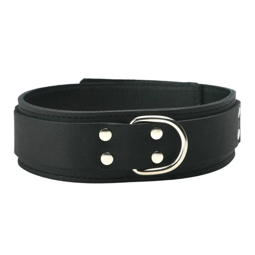 Strict Leather Standard Lined Collar